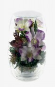 Орхидеи фиолетового тона 24856